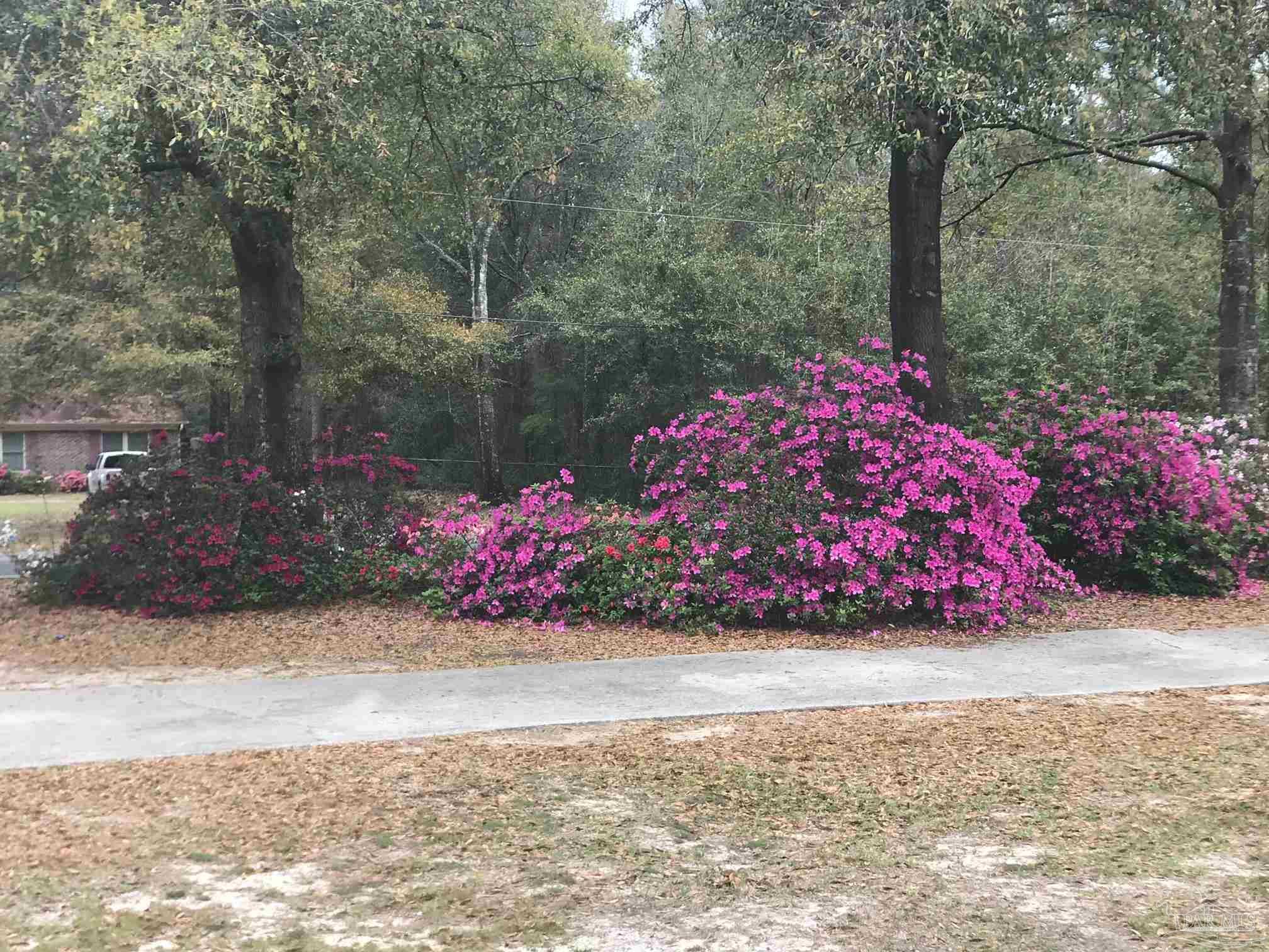 5645 Windham Road Milton, FL 32570 - Photo 36 of 40 a street view with garden space and trees