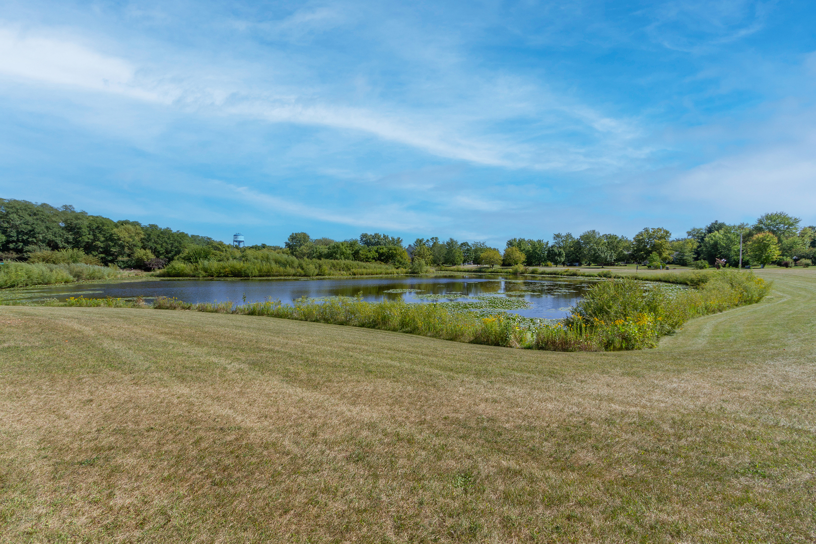285 Valley Way Burlington, IL 60109 - Photo 38 of 40 a view of a lake with houses in the background