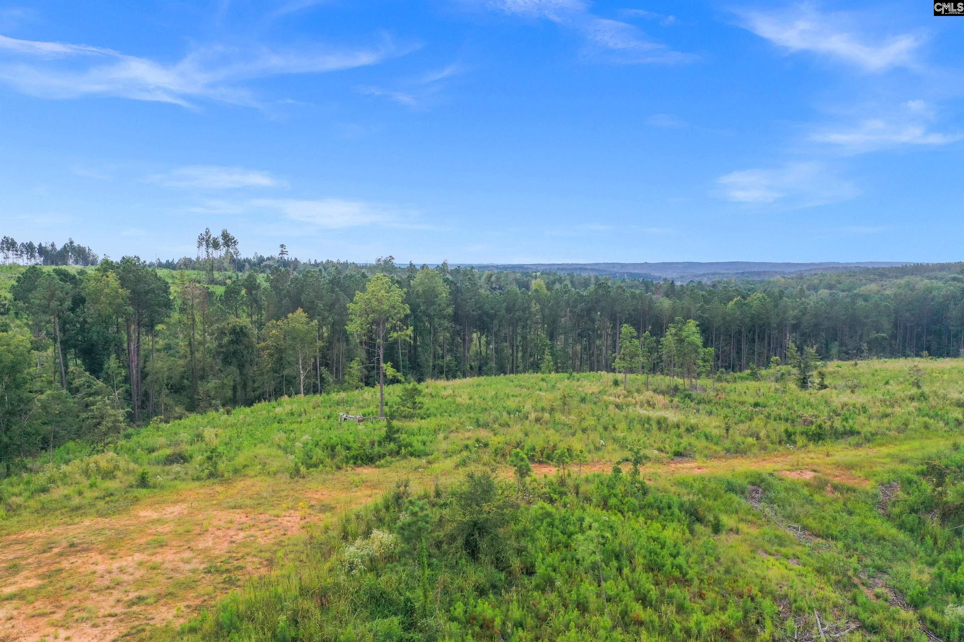 0 Penner Road, Unit 7 Jenkinsville, SC 29065 - Photo 14 of 36
