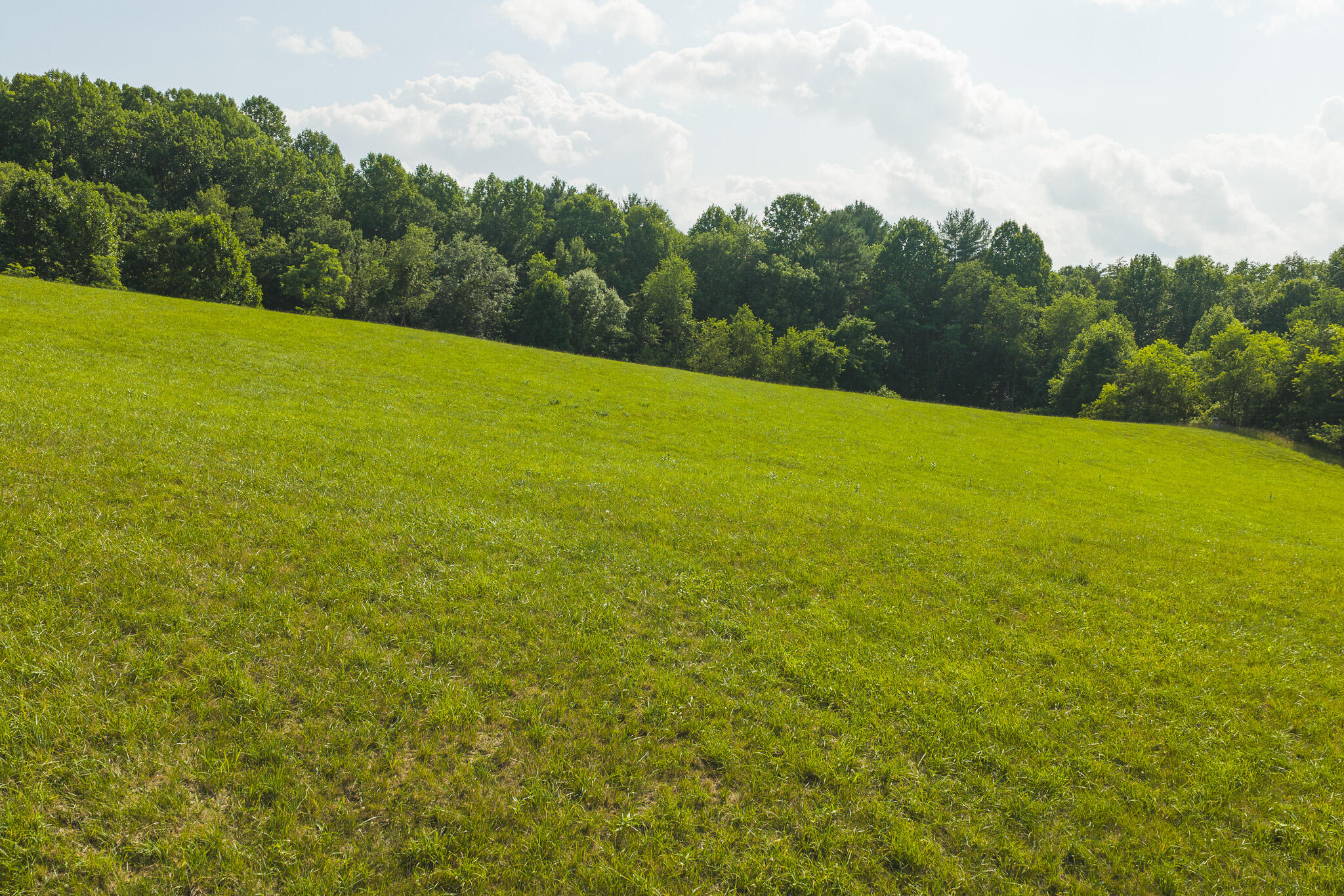 Lot 2 Brush Creek Road Riner, VA 24149 - Photo 12 of 15 DJI_20260629165824_0183_D