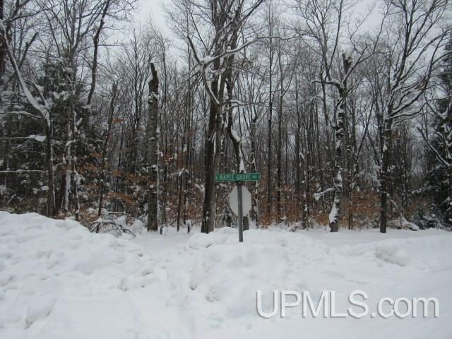 16 Mile Lake Road Munising, MI 49862 - Photo 5 of 16