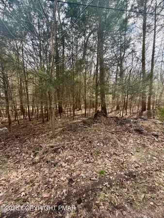 a view of outdoor space with trees