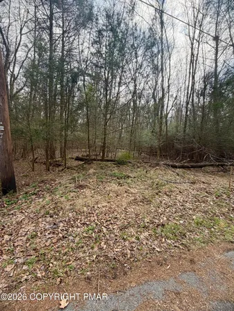 a view of outdoor space with trees