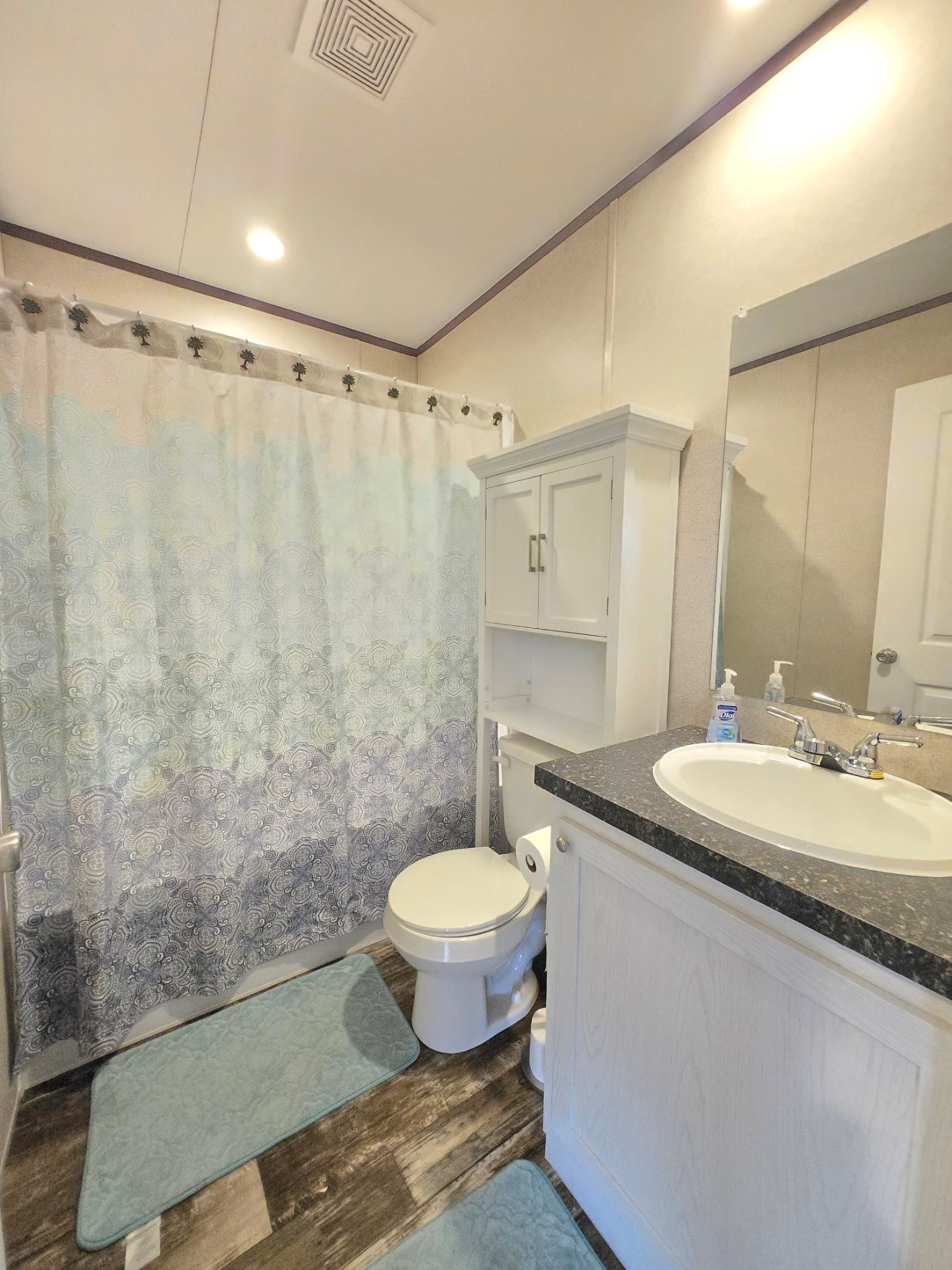 221 Old Waelder Road Flatonia, TX 78941 - Photo 24 of 27 a bathroom with a granite countertop sink a toilet a mirror and shower