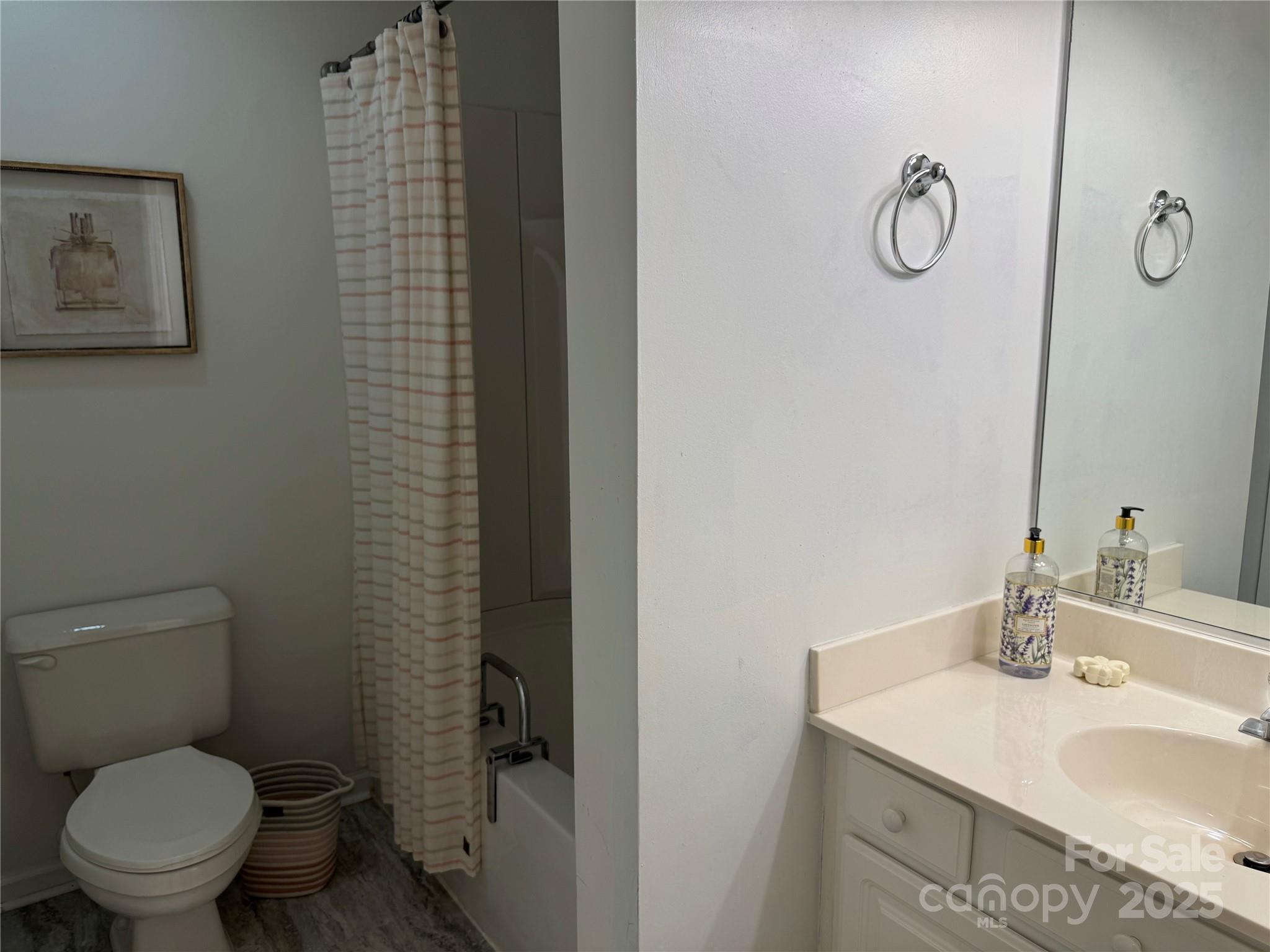 21120 Cold Spring Lane Cornelius, NC 28031 - Photo 17 of 22 a bathroom with a sink toilet and a mirror