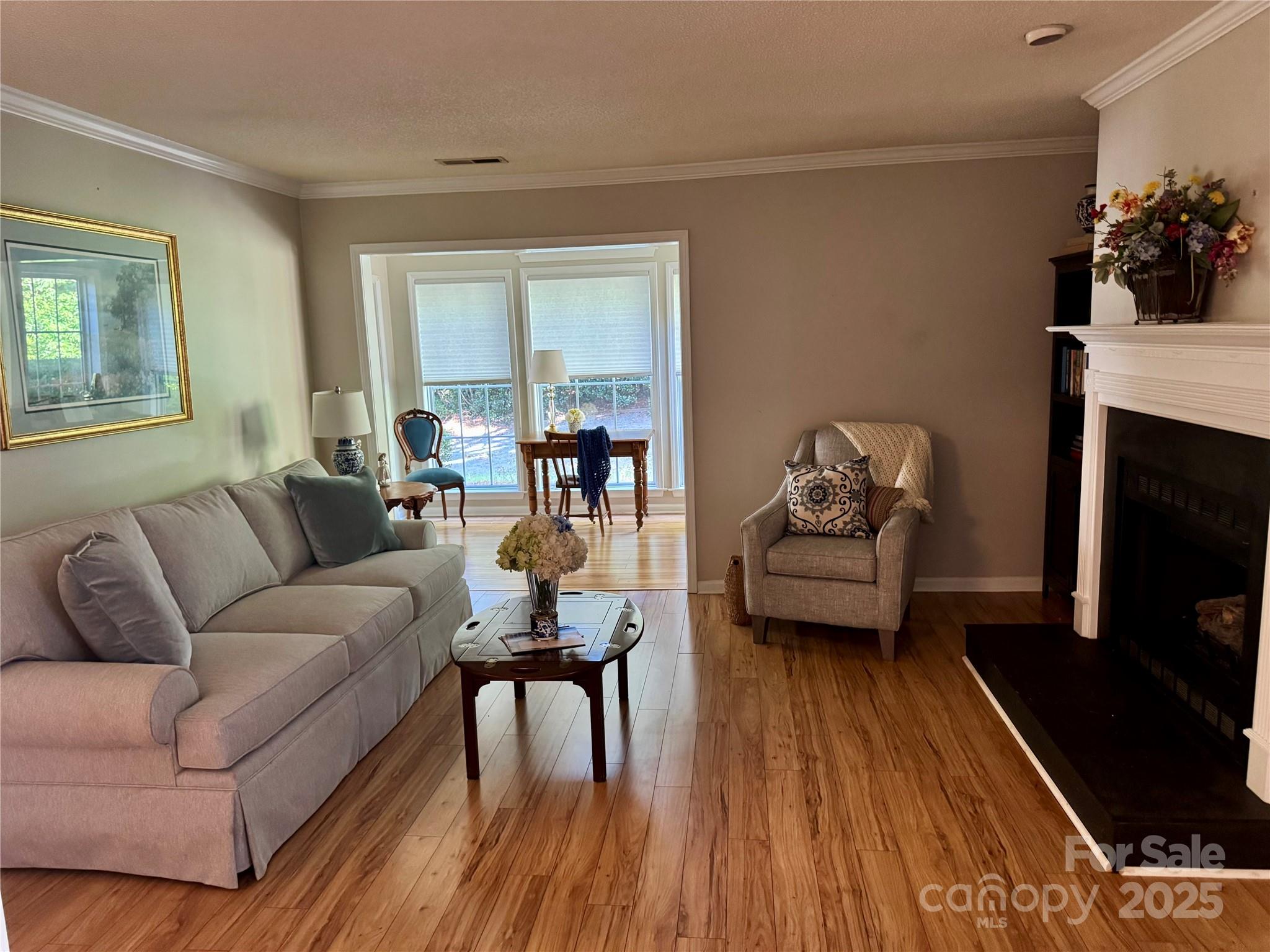 21120 Cold Spring Lane Cornelius, NC 28031 - Photo 5 of 22 a living room with furniture and a fireplace