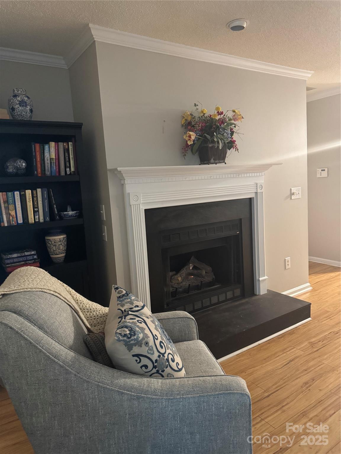 21120 Cold Spring Lane Cornelius, NC 28031 - Photo 6 of 22 a living room with furniture and a fireplace