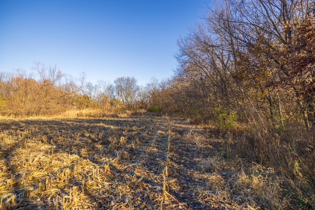 11 West Ryan Road Grain Valley, MO 64029 - Photo 13 of 20