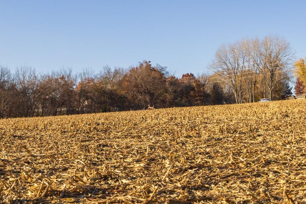 11 West Ryan Road Grain Valley, MO 64029 - Photo 17 of 20