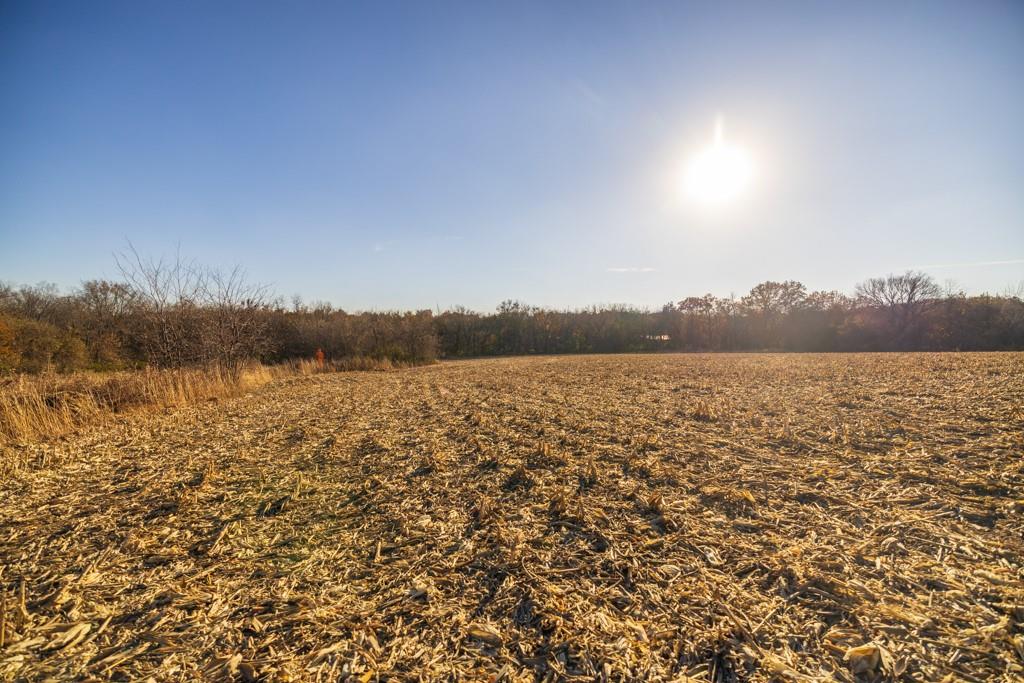 11 West Ryan Road Grain Valley, MO 64029 - Photo 18 of 20