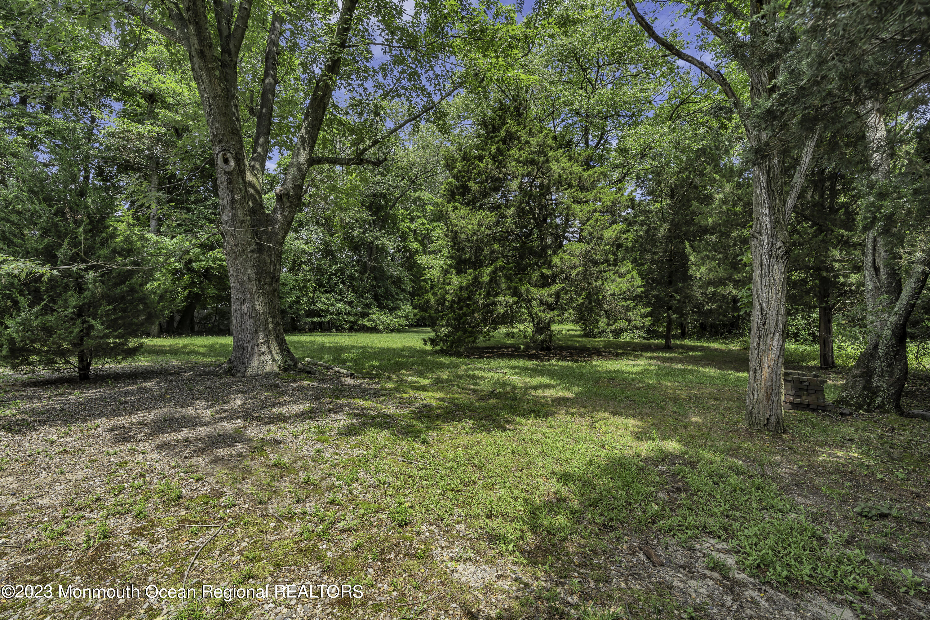 388 Cherry Quay Road Brick, NJ 08723 - Photo 32 of 35 a view of backyard with green space
