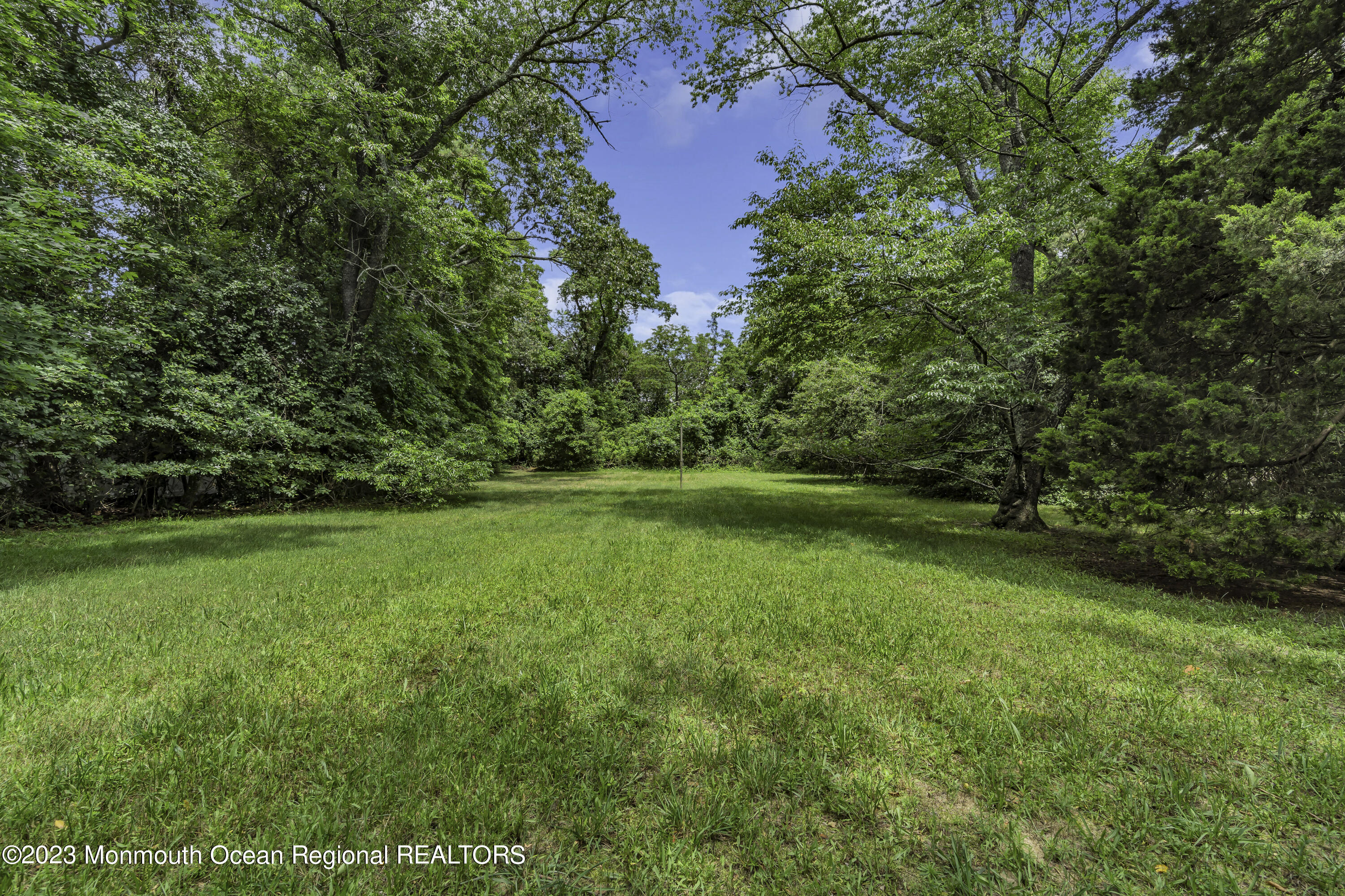 388 Cherry Quay Road Brick, NJ 08723 - Photo 33 of 35 a view of yard with green space