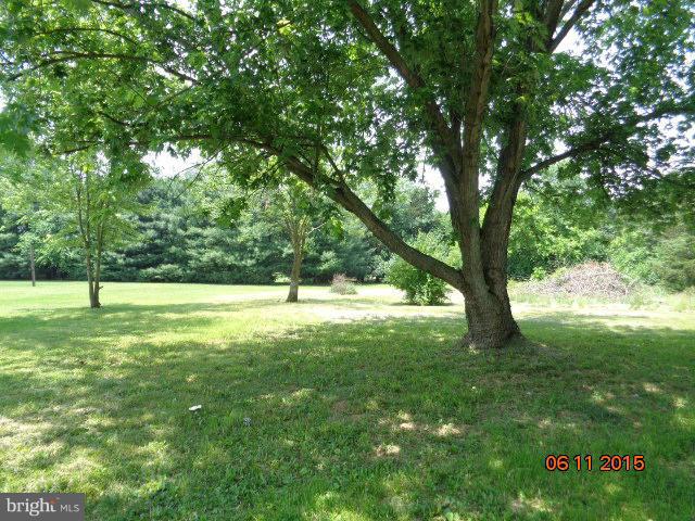 324 Fegan Road Bunker Hill, WV 25413 - Photo 6 of 15 Exterior (Rear)