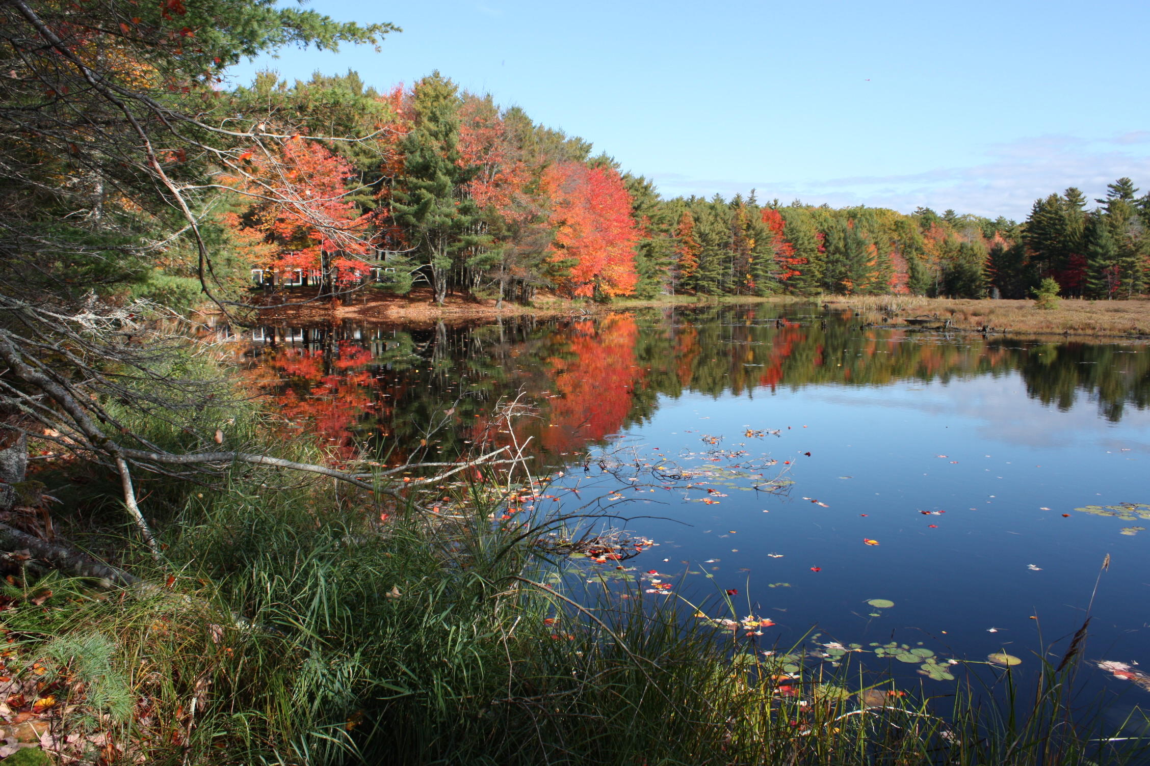 764 Old County Road Washington, ME 04574 - Photo 9 of 37 IMG_2554