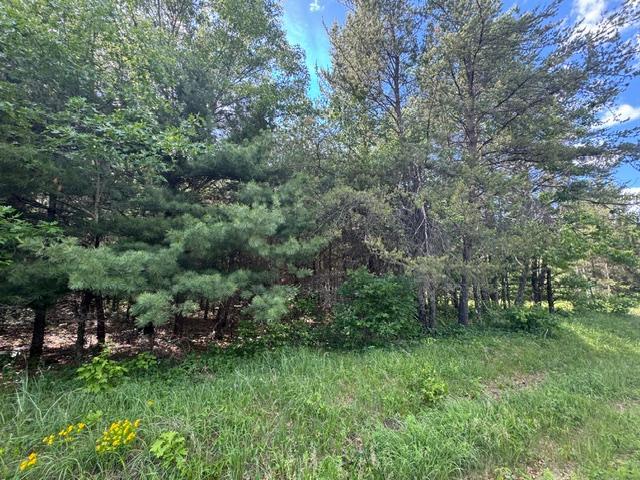 25385 Spaulding Road Grantsburg, WI 54840 - Photo 1 of 12