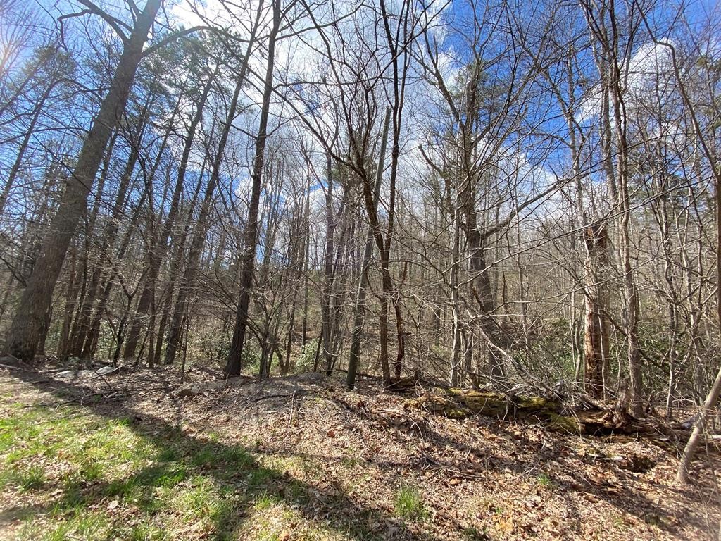 21 Alpine Drive Sevierville, TN 37876 - Photo 1 of 4