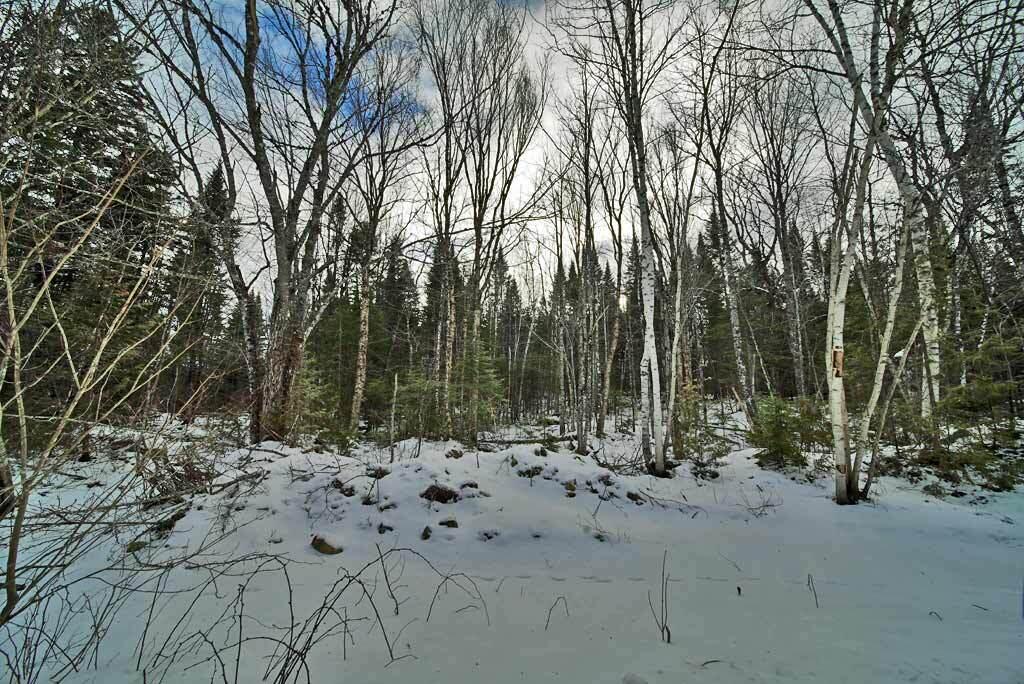 Lot 57 Fire Road Linneus, ME 04730 - Photo 21 of 25 maine-woodlot-linneus-land