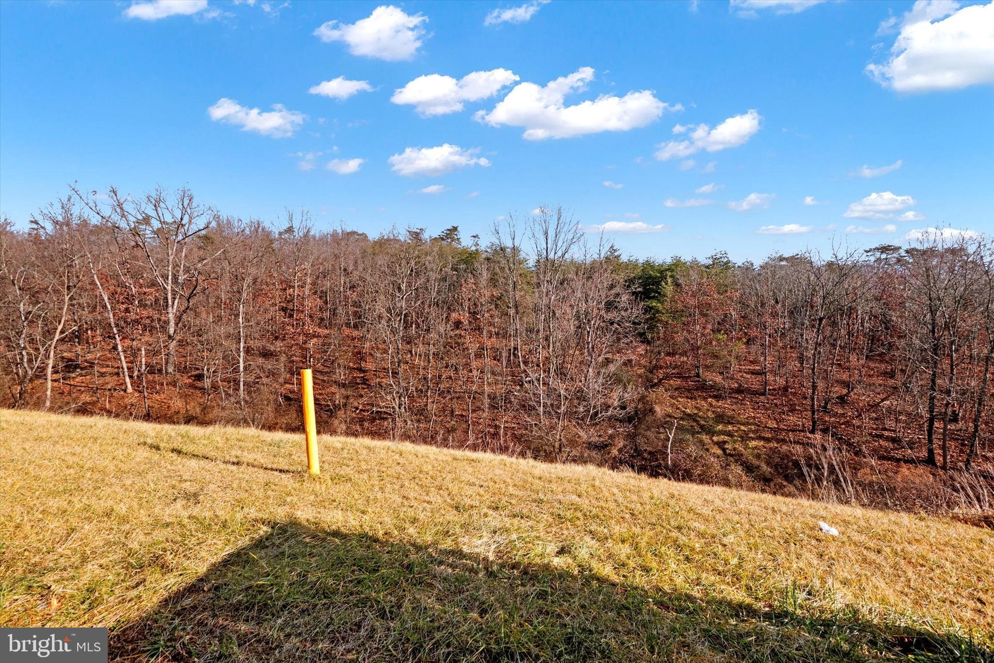271 Patchwork Drive Stephenson, VA 22656 - Photo 29 of 31
