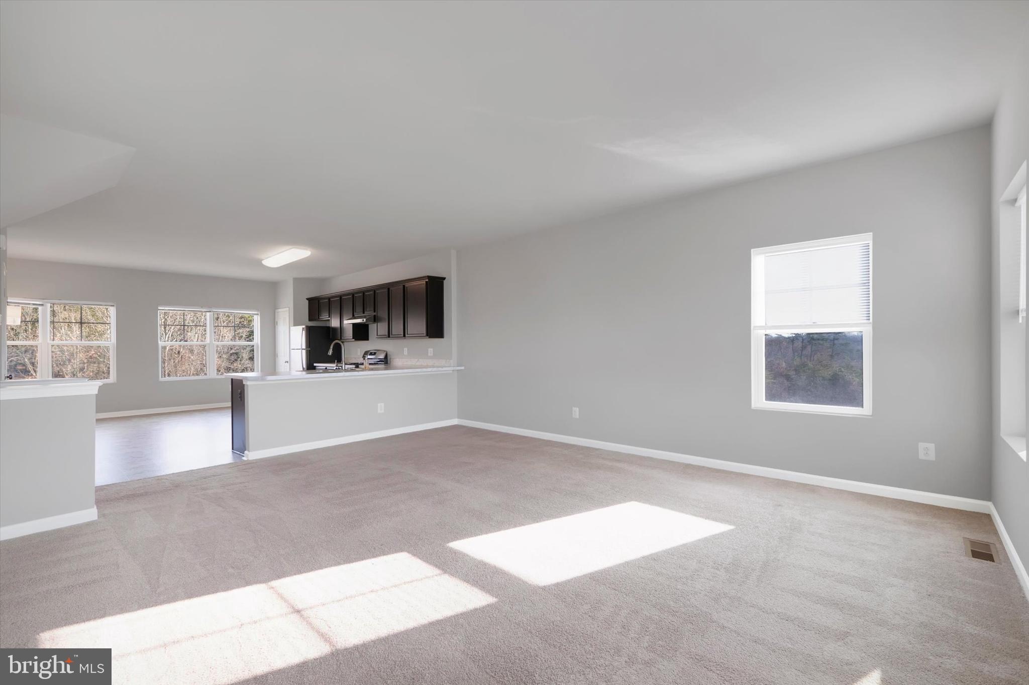 271 Patchwork Drive Stephenson, VA 22656 - Photo 8 of 31