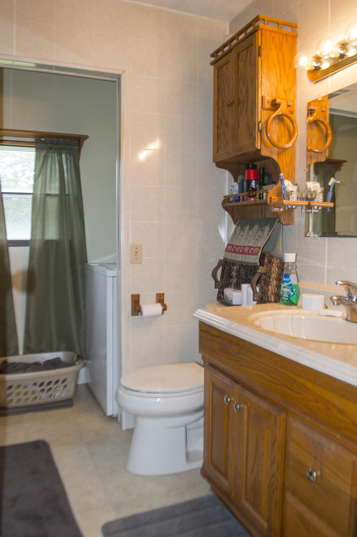 3832 North Fork Road Elliston, VA 24087 - Photo 12 of 15 f_Master Bath
