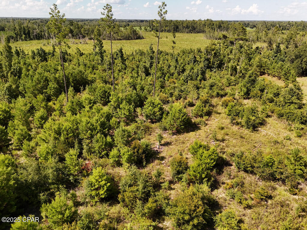 20 Scott Church Road Marianna, FL 32448 - Photo 12 of 18 Gallery Image 12