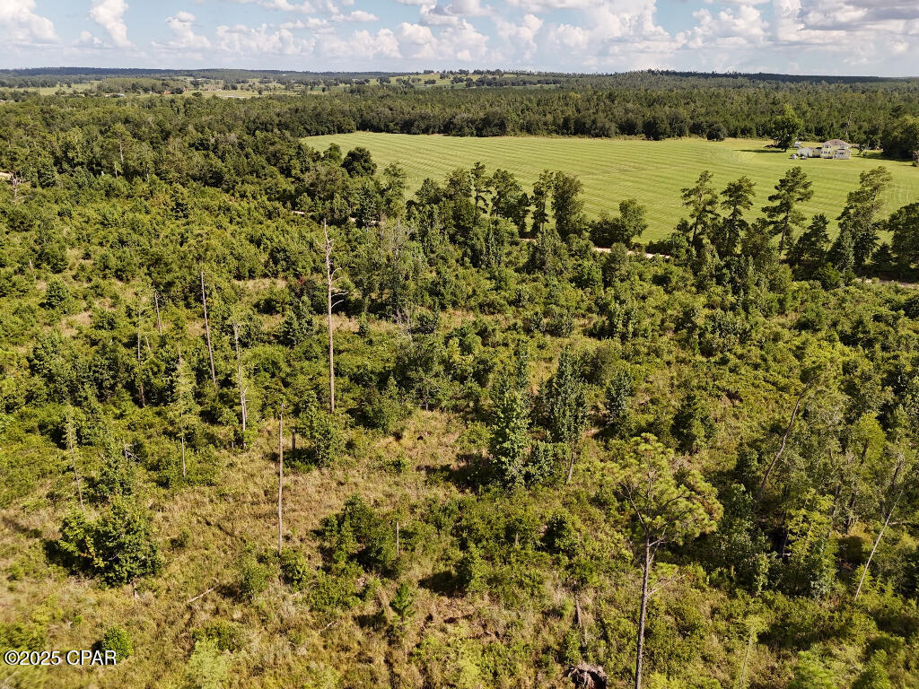 20 Scott Church Road Marianna, FL 32448 - Photo 14 of 18 Gallery Image 14