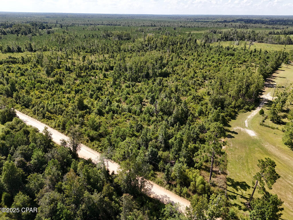 20 Scott Church Road Marianna, FL 32448 - Photo 3 of 18 Gallery Image 3