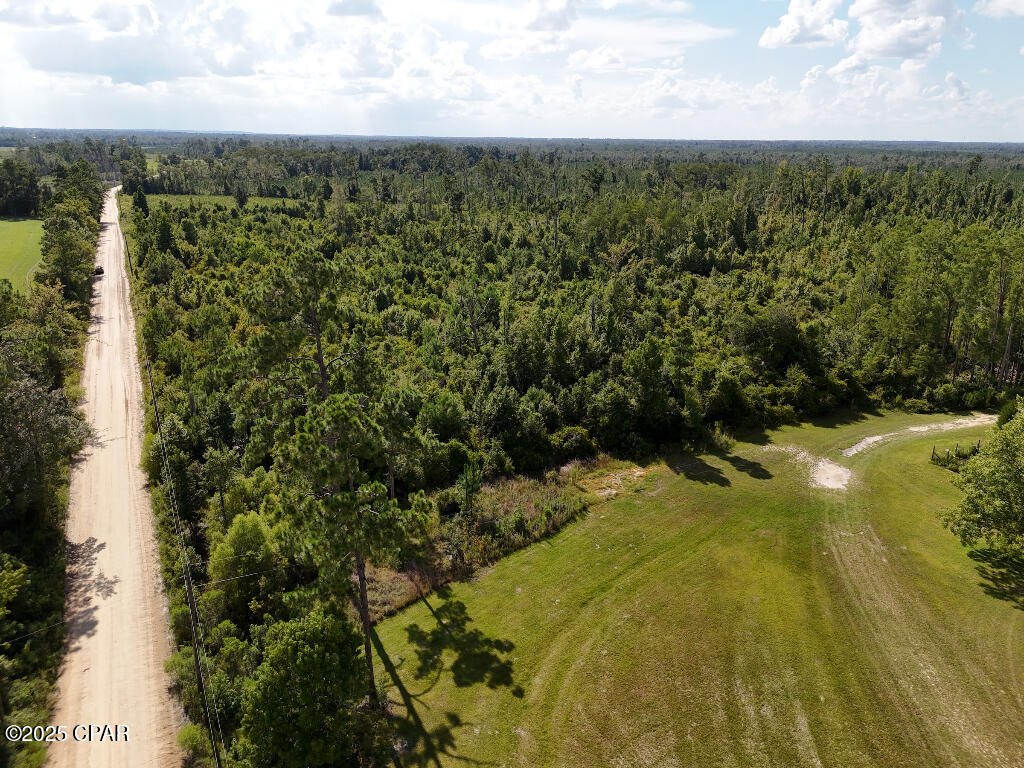 20 Scott Church Road Marianna, FL 32448 - Photo 5 of 18 Gallery Image 5