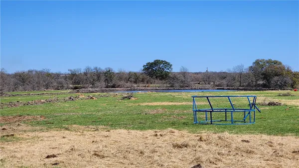 a view of a yard