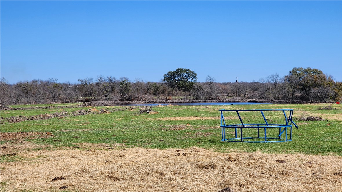 Tbd Nicole Lane Winters, TX 79567 - Photo 4 of 6 a view of a yard