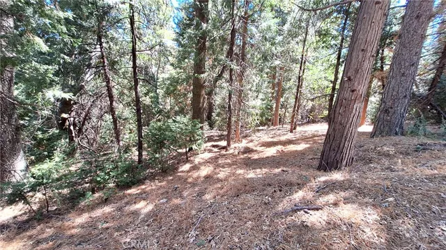 a view of outdoor space and trees
