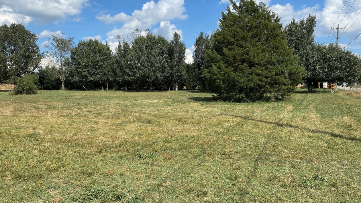 27085 Bethel Road Elkmont, AL 35620 - Photo 11 of 45 a view of a yard