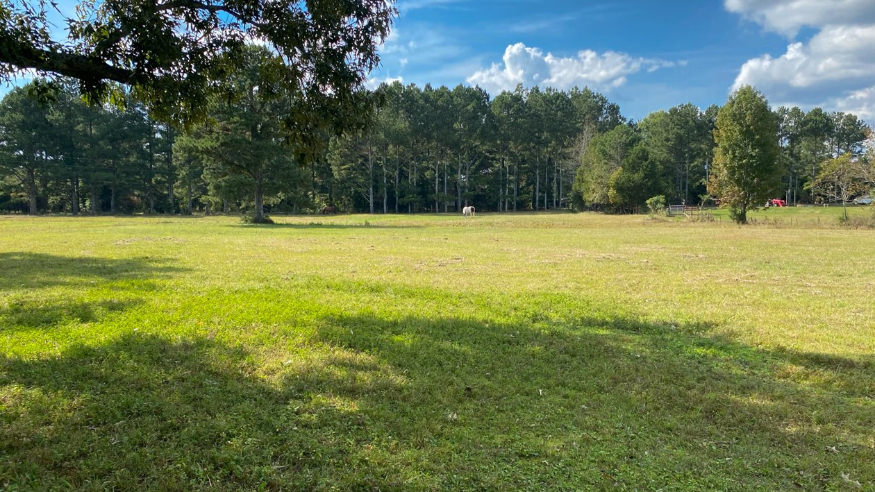 27085 Bethel Road Elkmont, AL 35620 - Photo 12 of 45 a view of a yard with a large trees