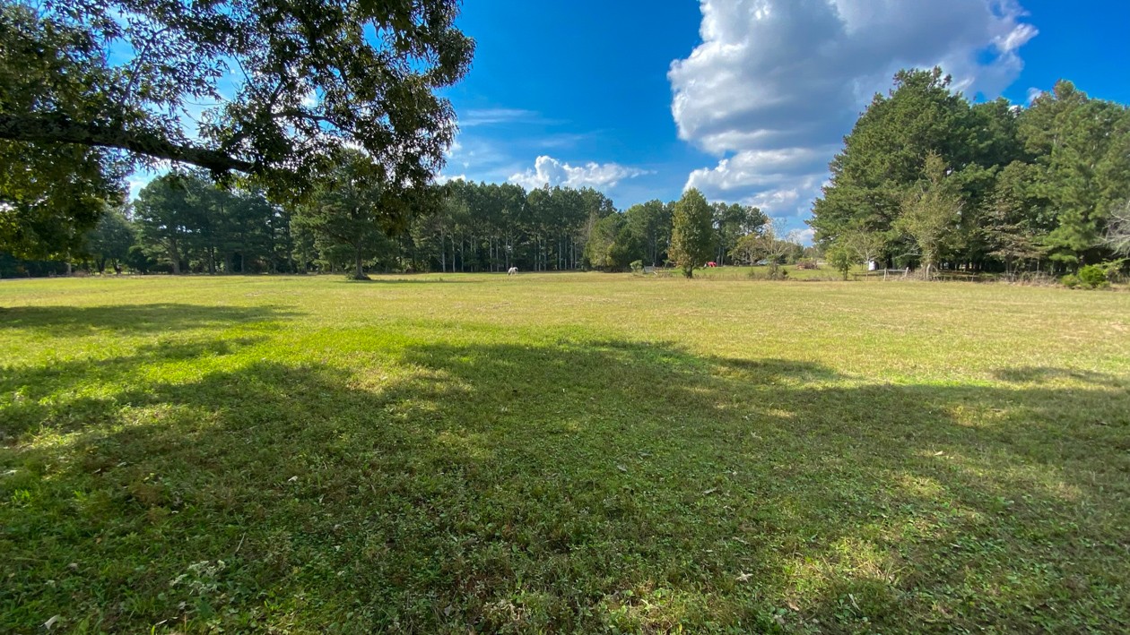 27085 Bethel Road Elkmont, AL 35620 - Photo 14 of 45 a view of an outdoor space and deck