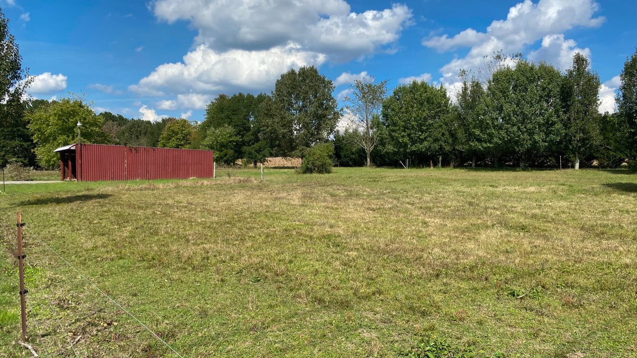 27085 Bethel Road Elkmont, AL 35620 - Photo 19 of 45 a view of a big yard with large trees