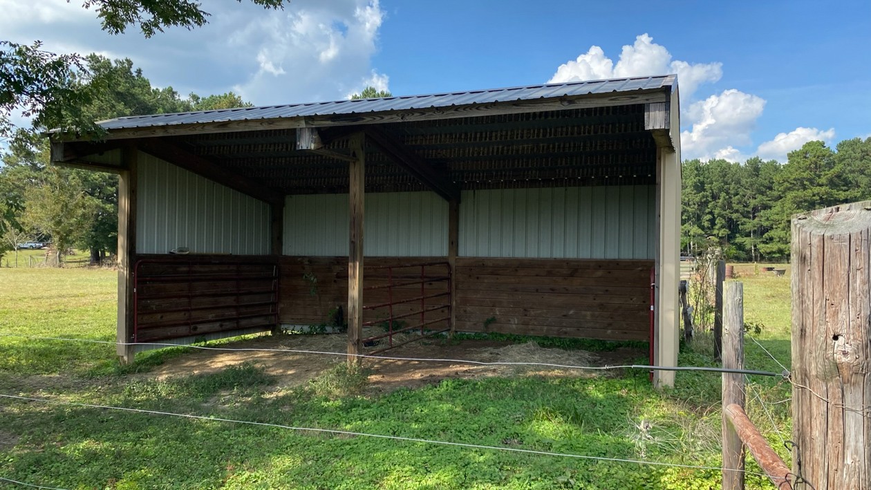 27085 Bethel Road Elkmont, AL 35620 - Photo 22 of 45 a view of house with backyard