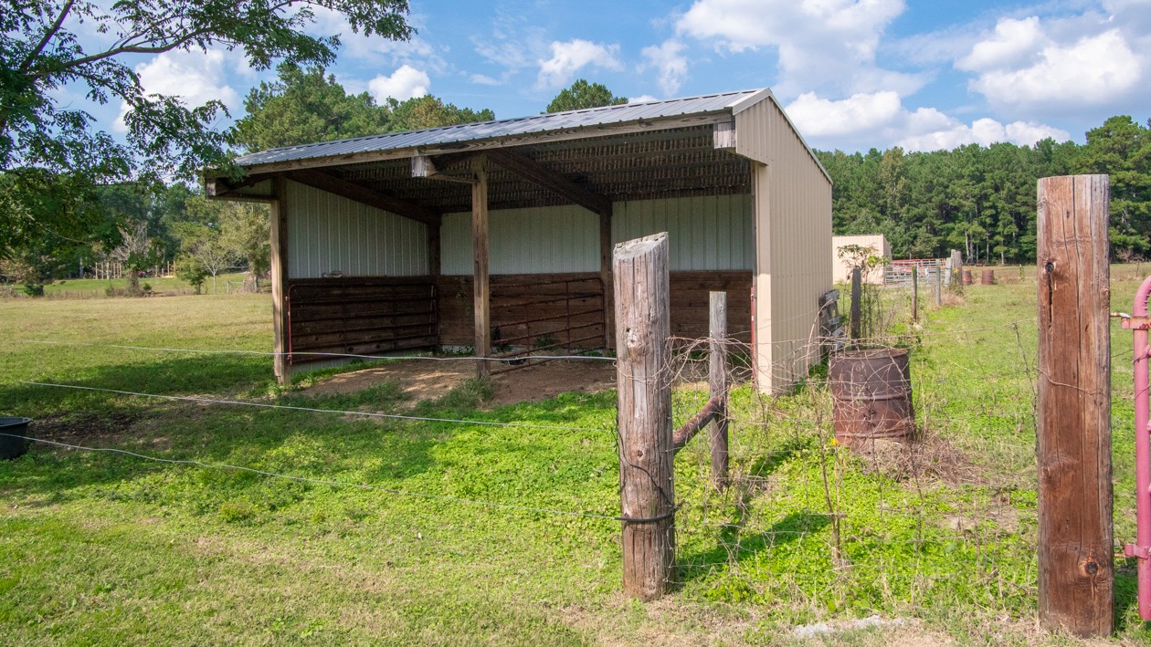 27085 Bethel Road Elkmont, AL 35620 - Photo 24 of 45 a view of a back yard of the house