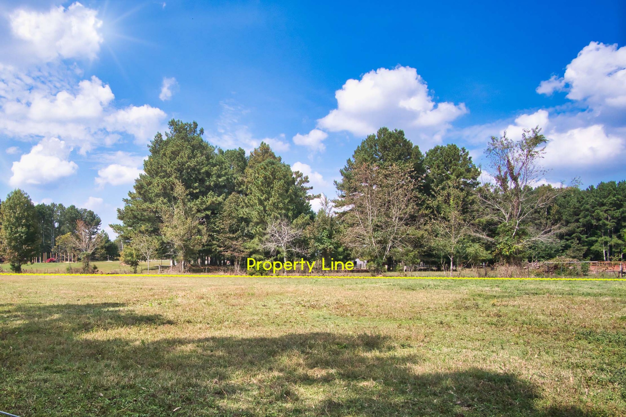 27085 Bethel Road Elkmont, AL 35620 - Photo 45 of 45 a view of a yard