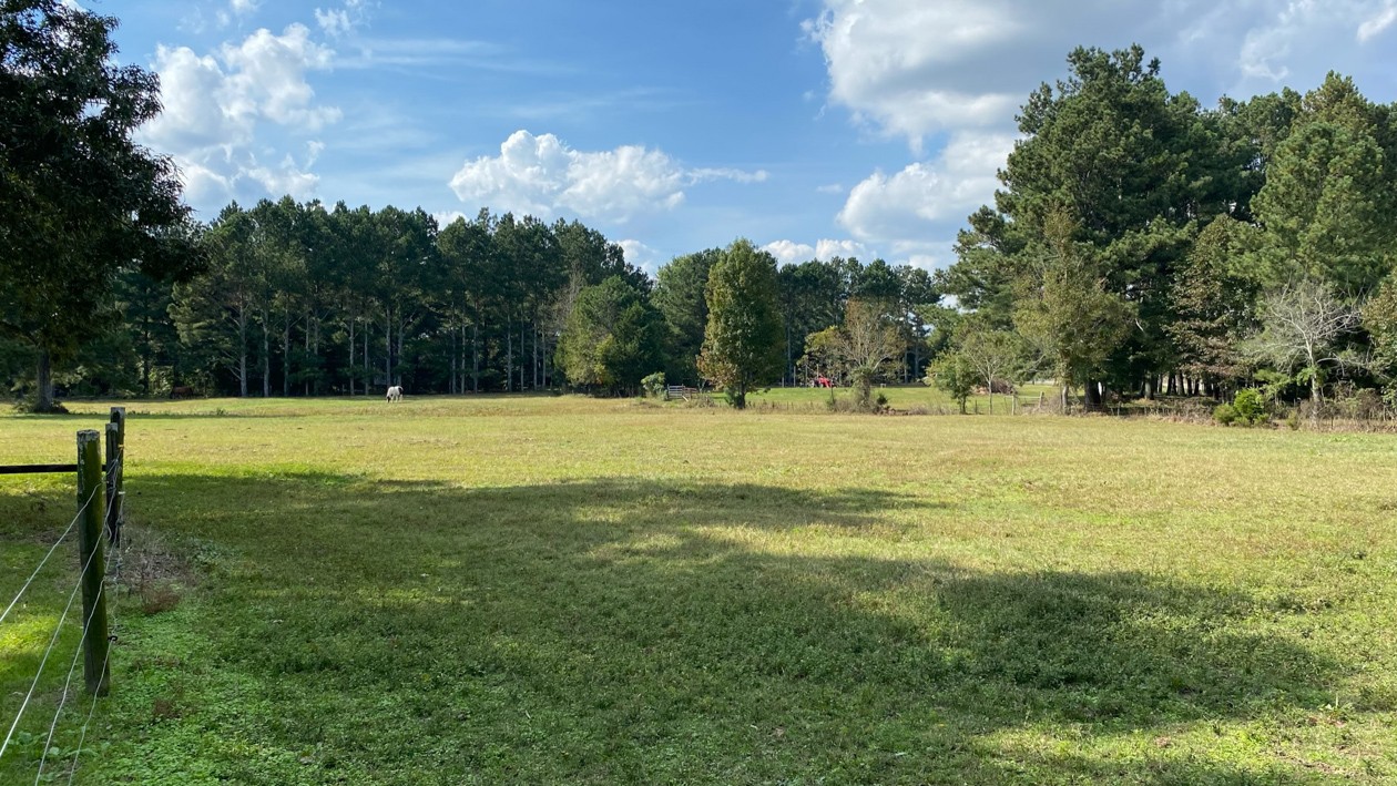 27085 Bethel Road Elkmont, AL 35620 - Photo 10 of 45 a view of a green field