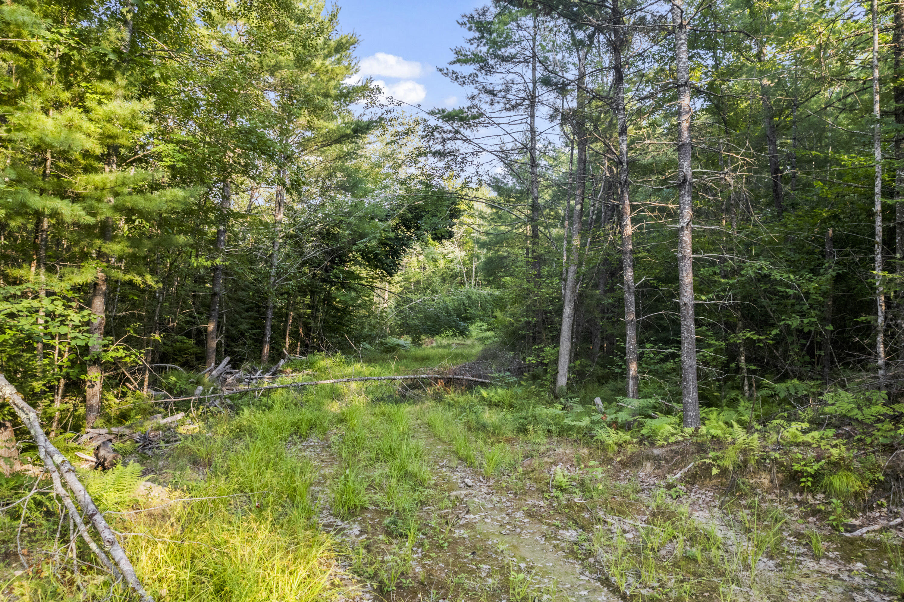Lot 25 Killick Pond Road Hollis Center, ME 04042 - Photo 10 of 11 Lot 25 Killick Pond Rd, Hollis, ME 04042