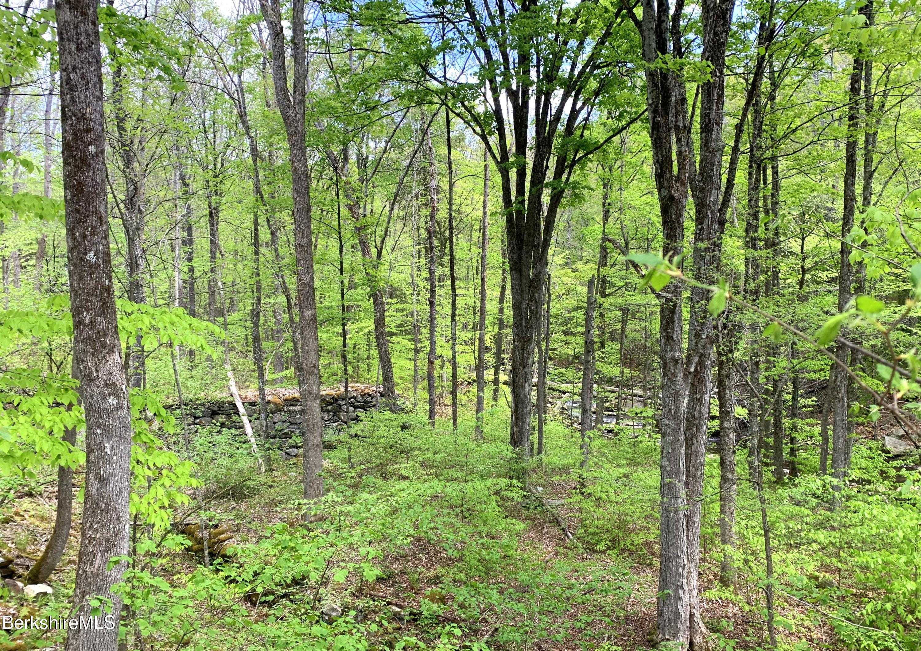 80 Town Hill Road Middlefield, MA 01011 - Photo 27 of 44 a view of outdoor space and yard
