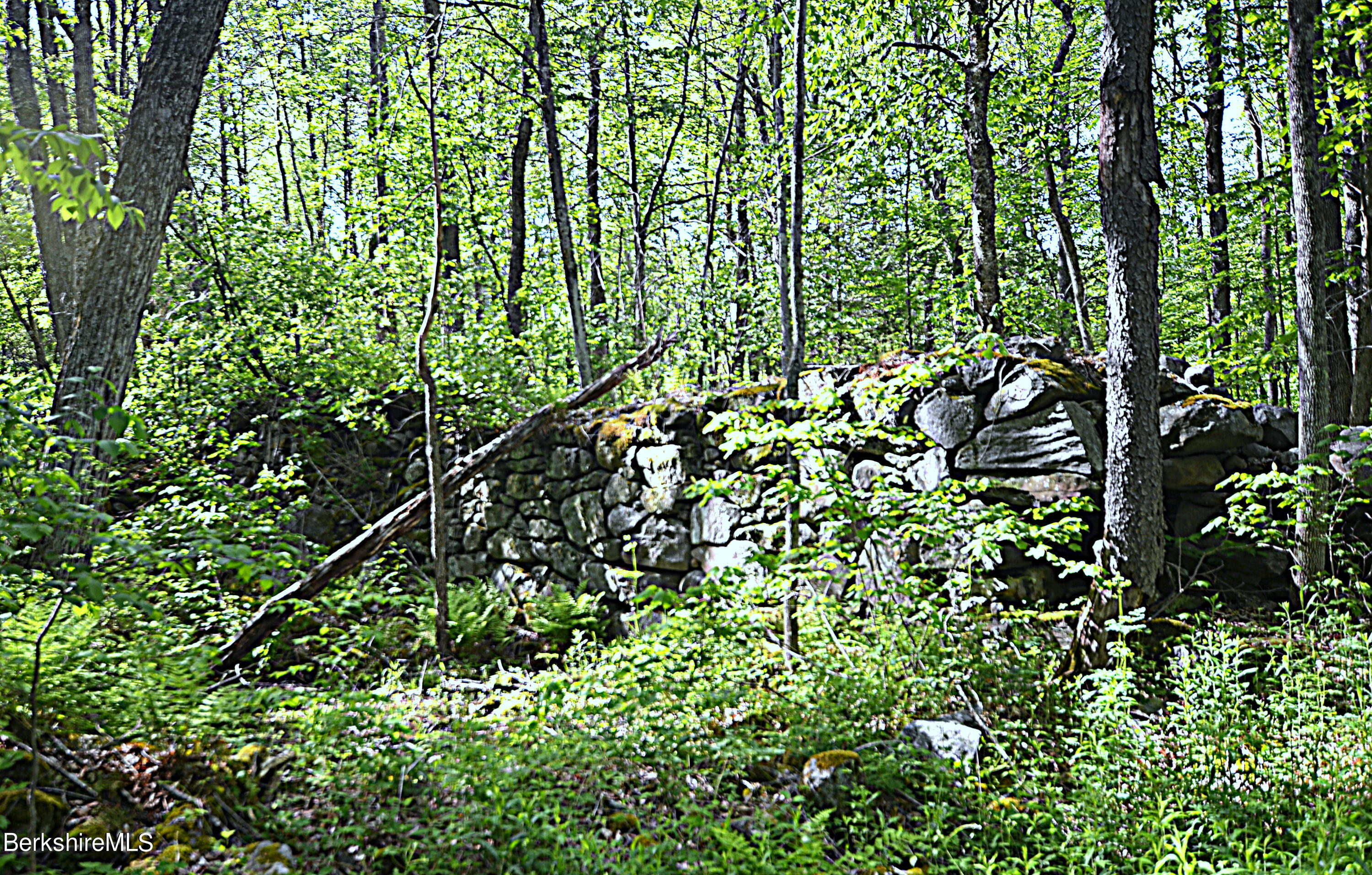 80 Town Hill Road Middlefield, MA 01011 - Photo 29 of 44 a backyard of a house with lots of green space and a lake view