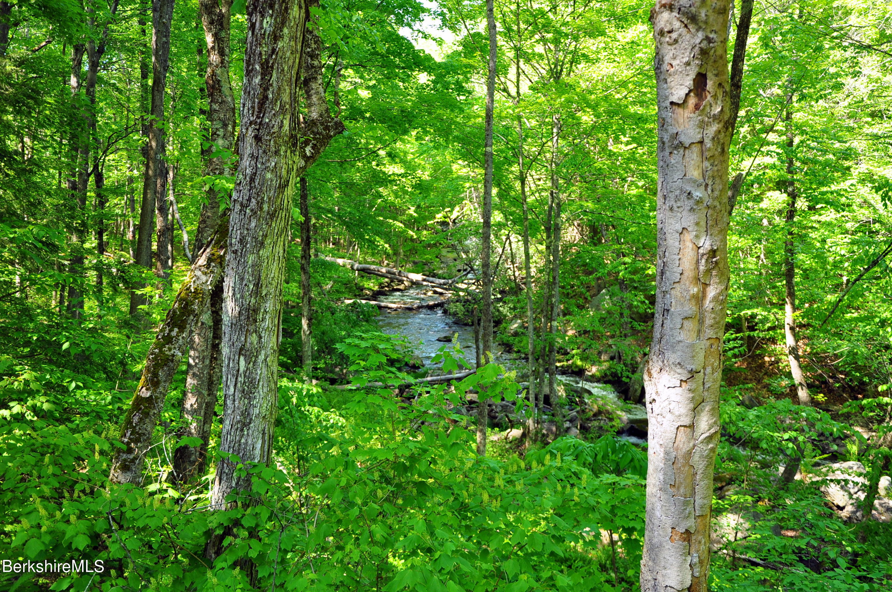 80 Town Hill Road Middlefield, MA 01011 - Photo 34 of 44 a view of forest
