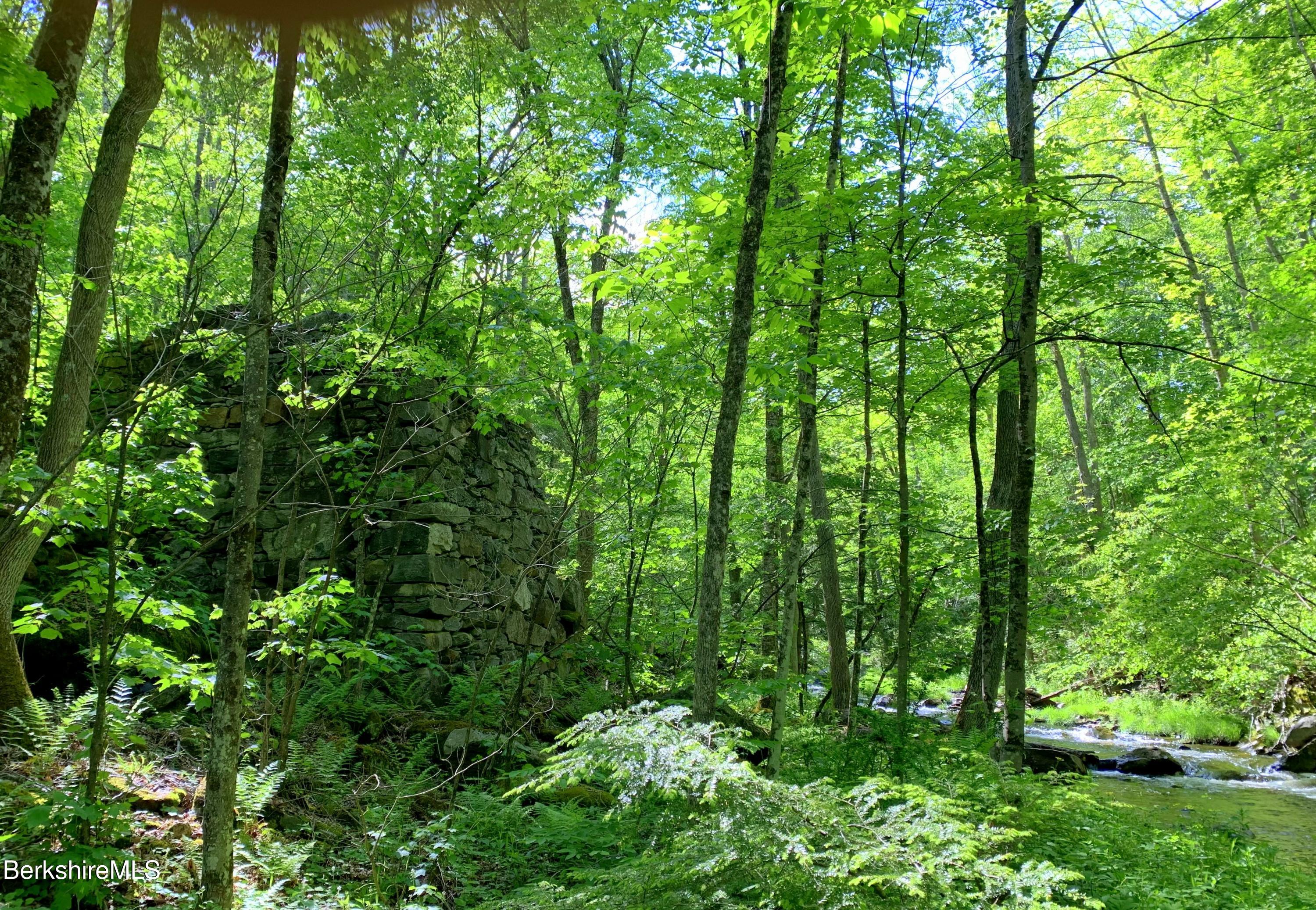 80 Town Hill Road Middlefield, MA 01011 - Photo 36 of 44 a view of a lush green forest