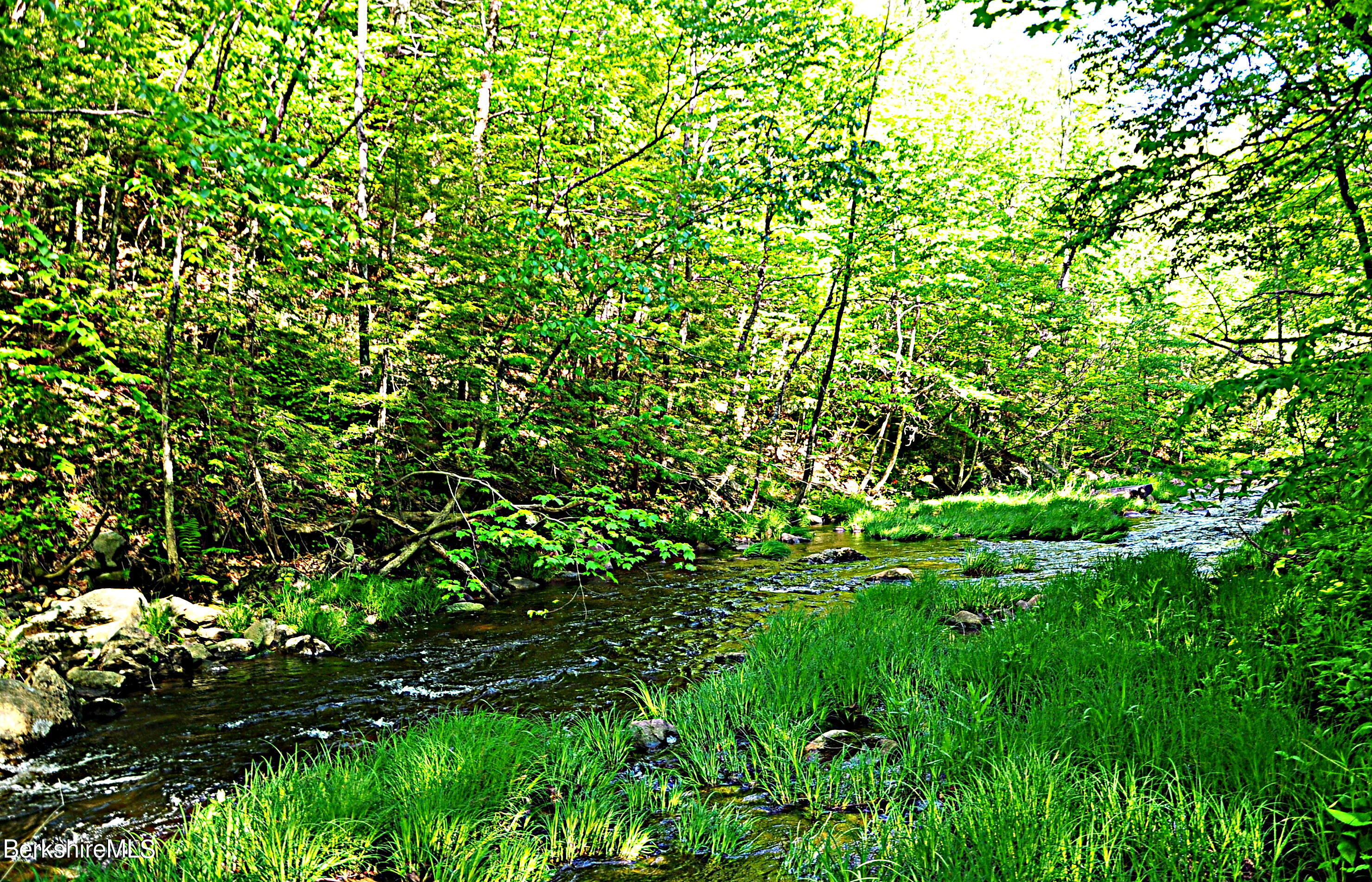 80 Town Hill Road Middlefield, MA 01011 - Photo 37 of 44 a view of a lush green space