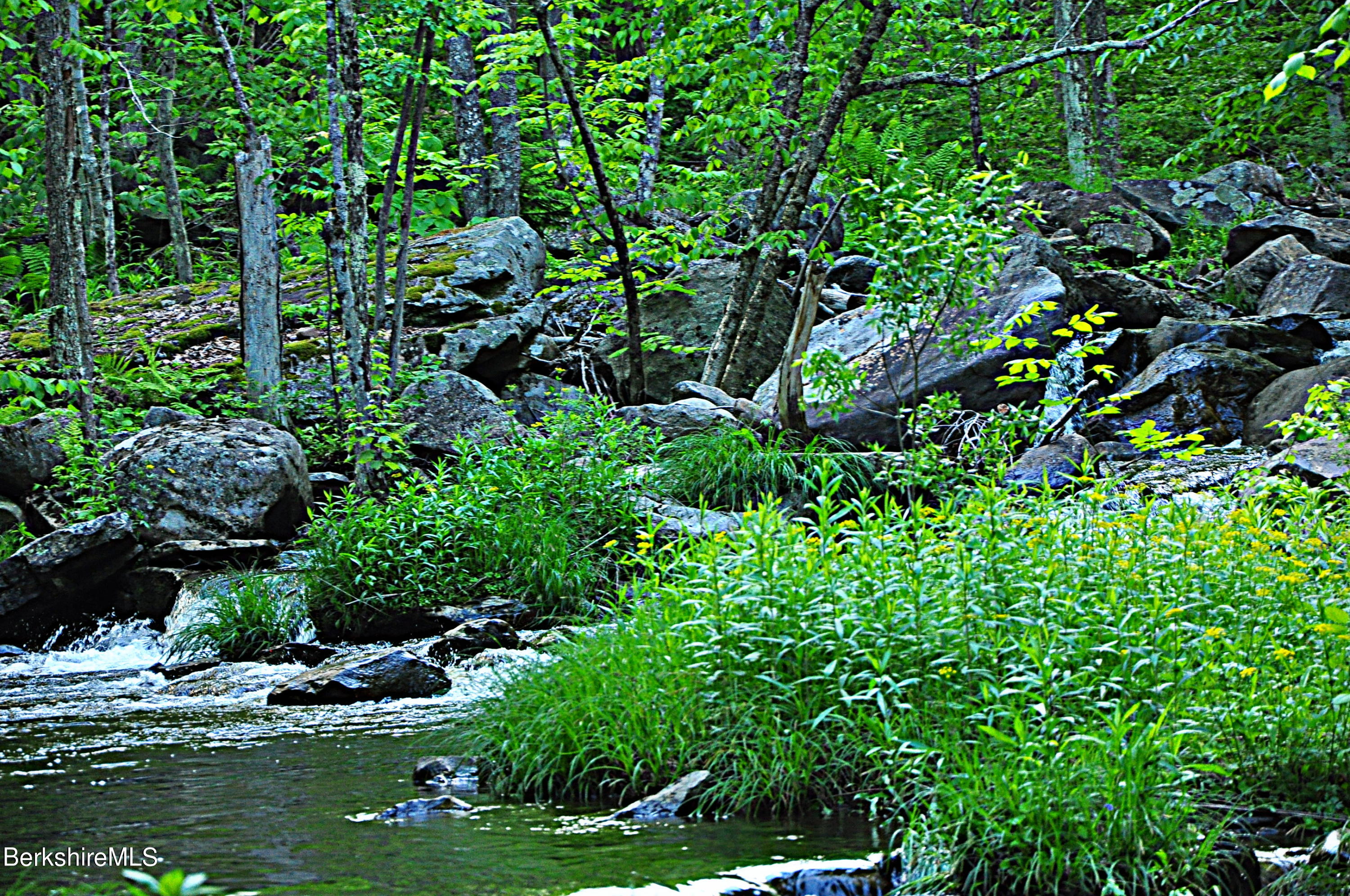 80 Town Hill Road Middlefield, MA 01011 - Photo 39 of 44 a view of a garden with plants