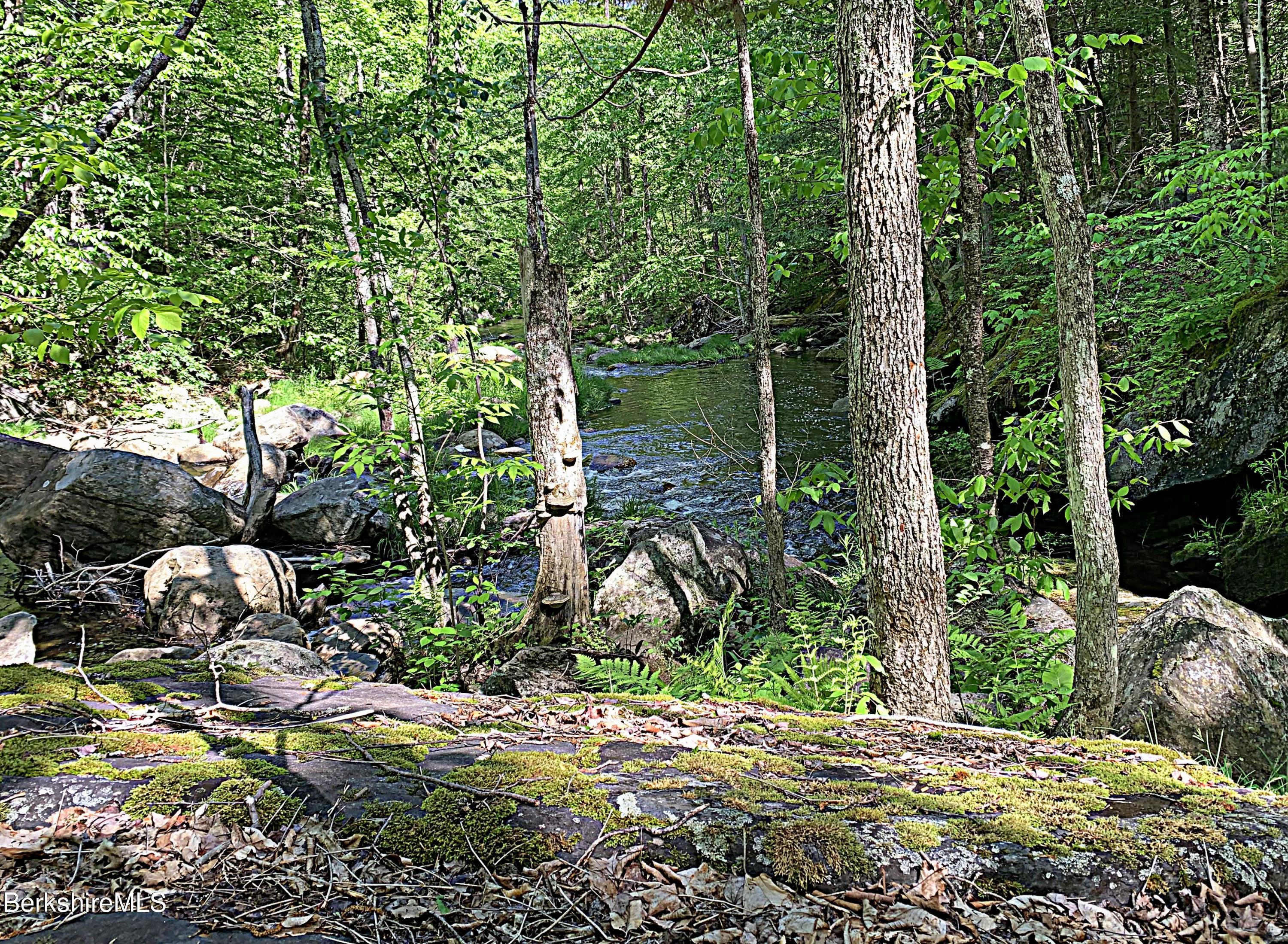 80 Town Hill Road Middlefield, MA 01011 - Photo 41 of 44 a view of a backyard of the house