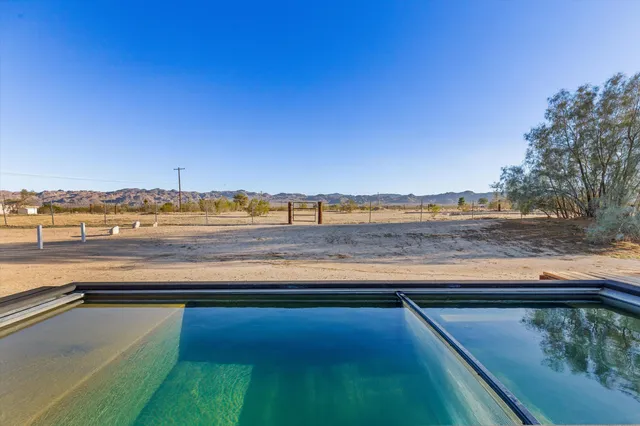 a room with furniture and potted plants