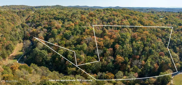 $79,900 | Strong Hollow Lane, Rocky Top, TN 37769