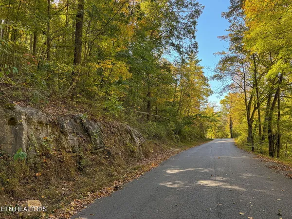 $79,900 | Strong Hollow Lane, Rocky Top, TN 37769